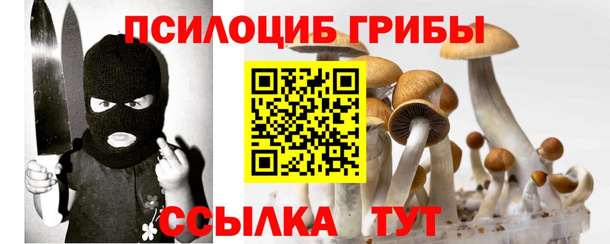 Псилоцибиновые грибы GOLDEN TEACHER Екатеринбург